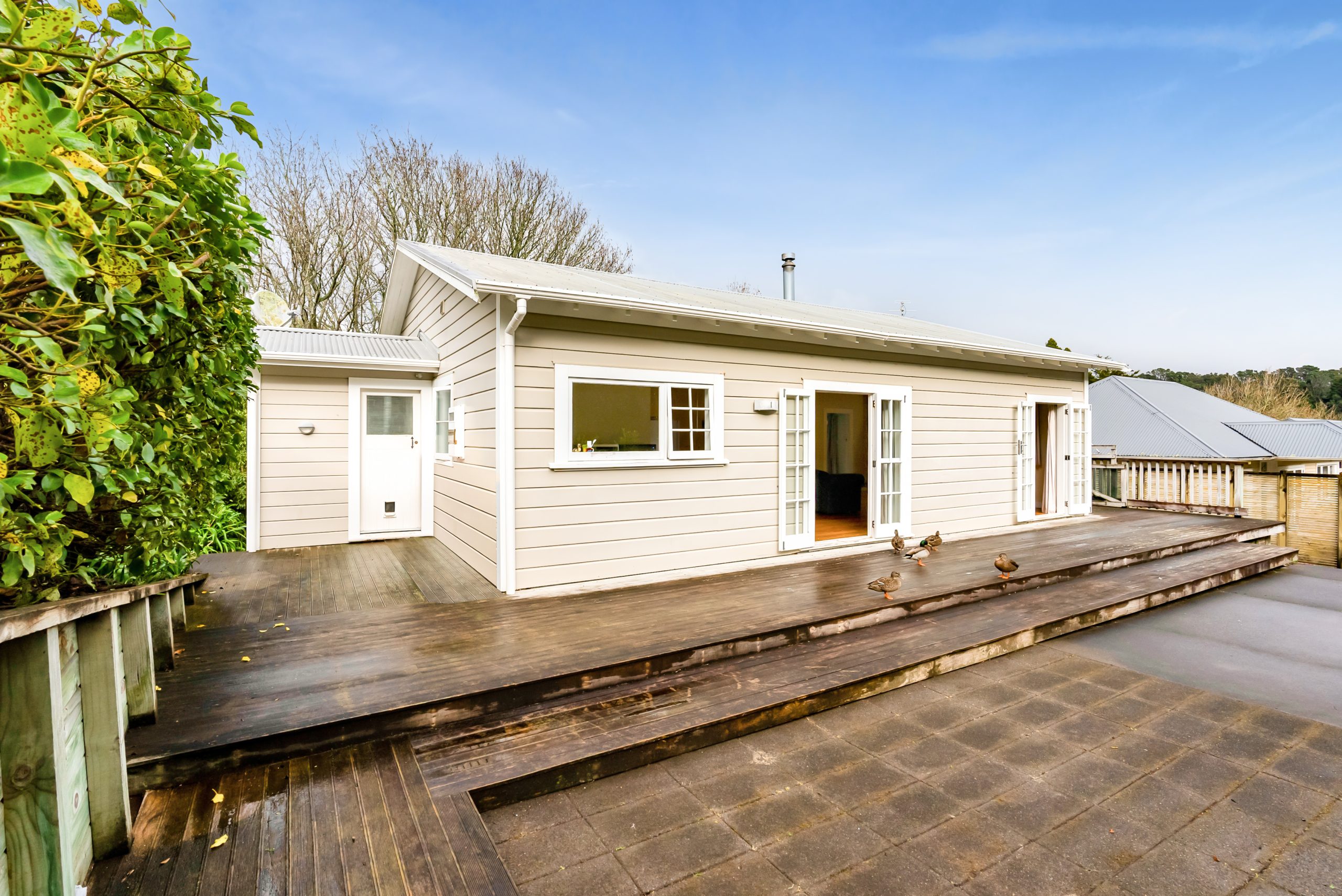 11 Sycamore Grove, Lower Vogeltown, Taranaki 4310 NZ