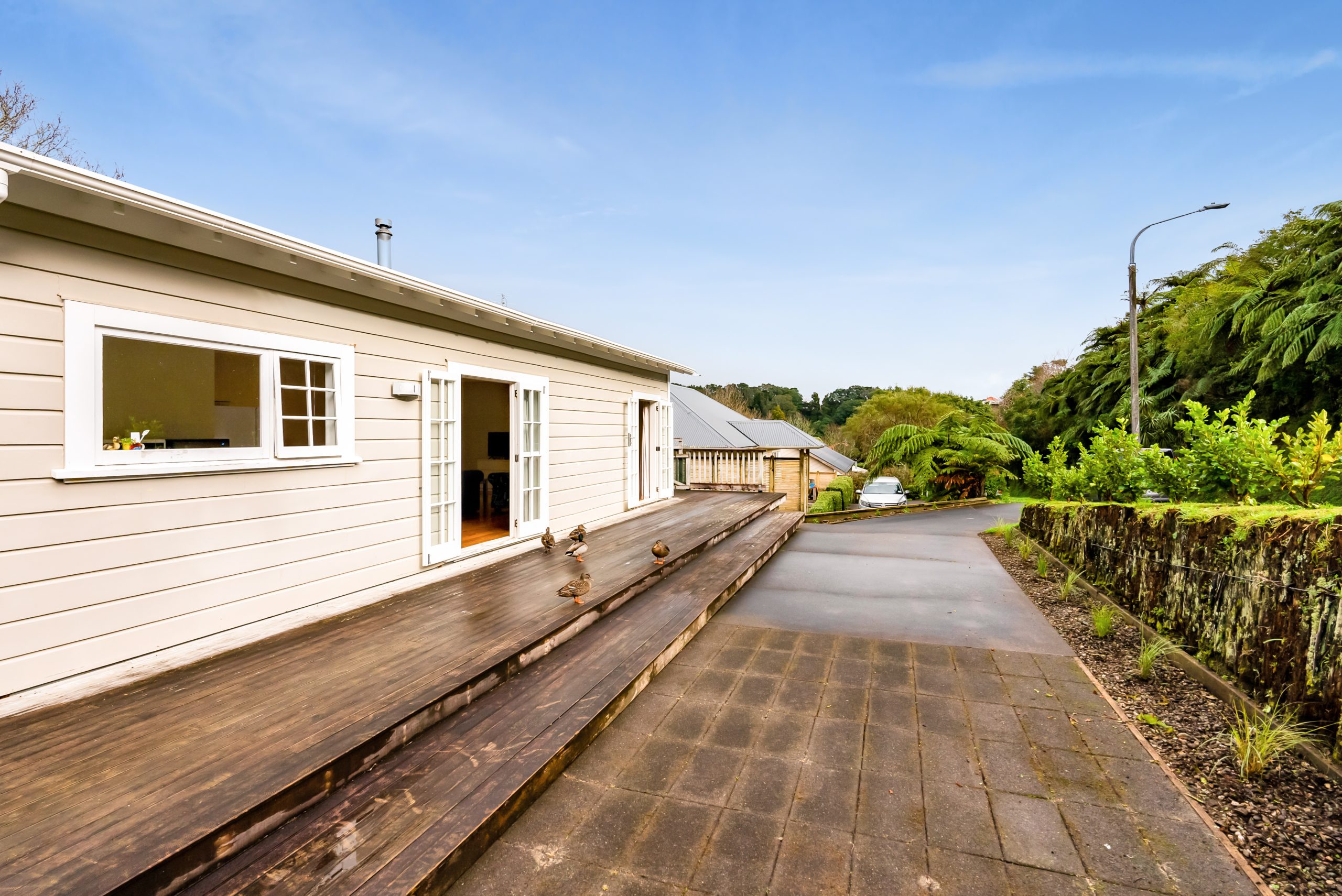 11 Sycamore Grove, Lower Vogeltown, Taranaki 4310 NZ