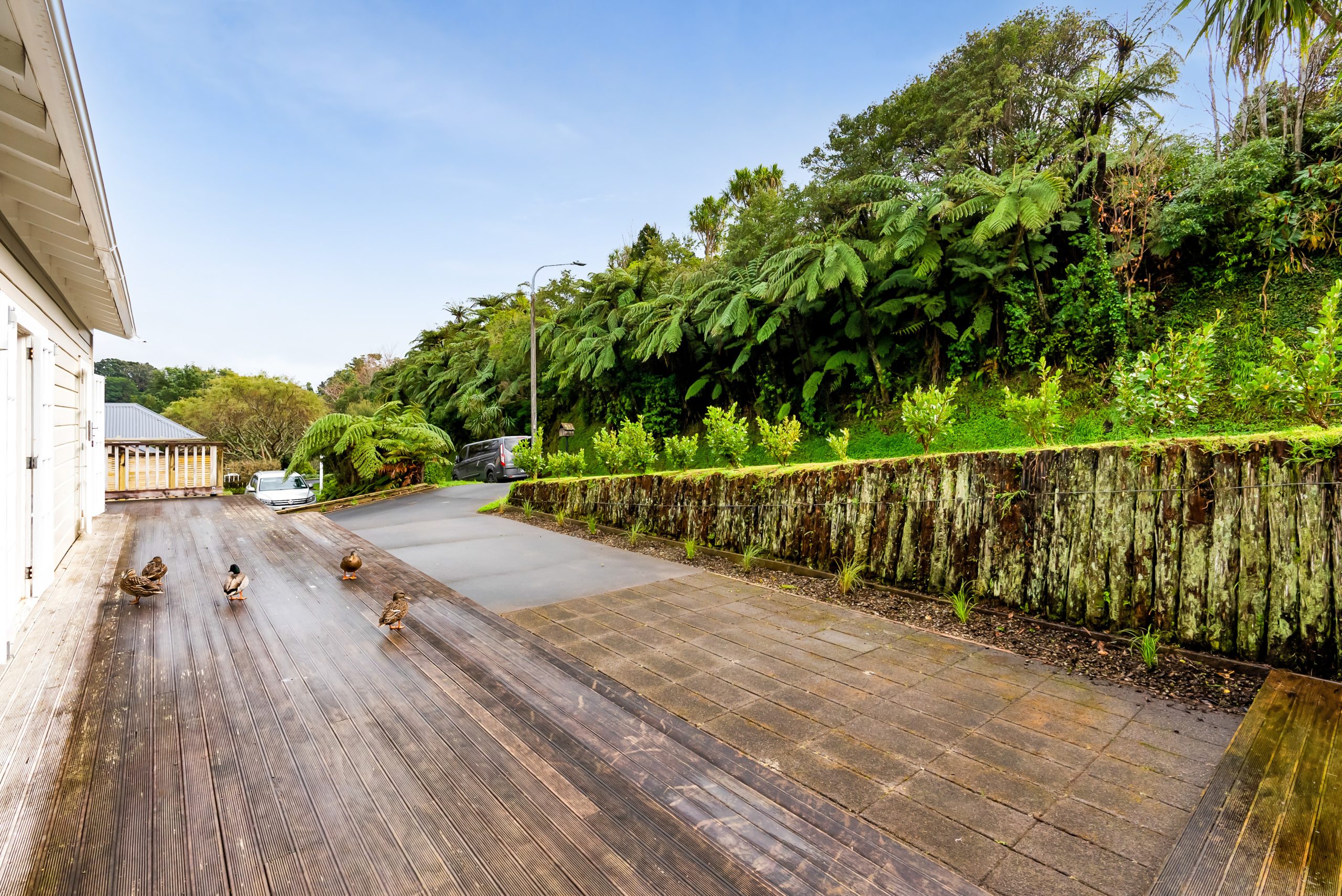 11 Sycamore Grove, Lower Vogeltown, Taranaki 4310 NZ