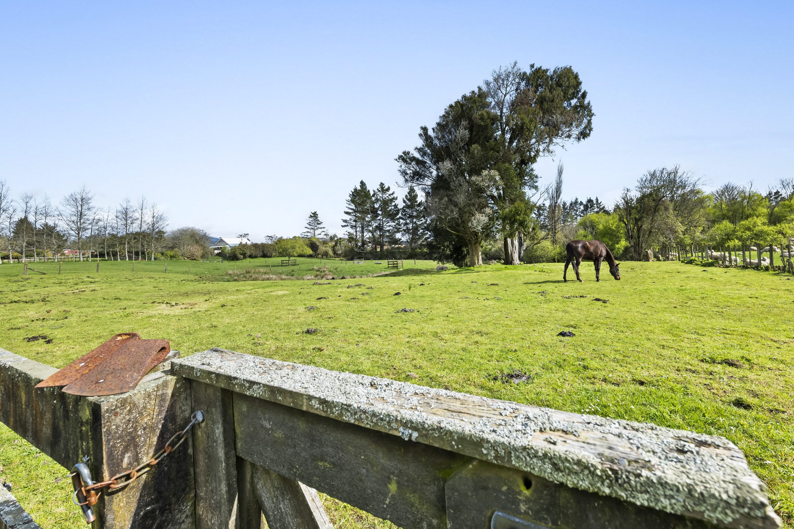 14 Flint Road, Stratford, Nz  NZ