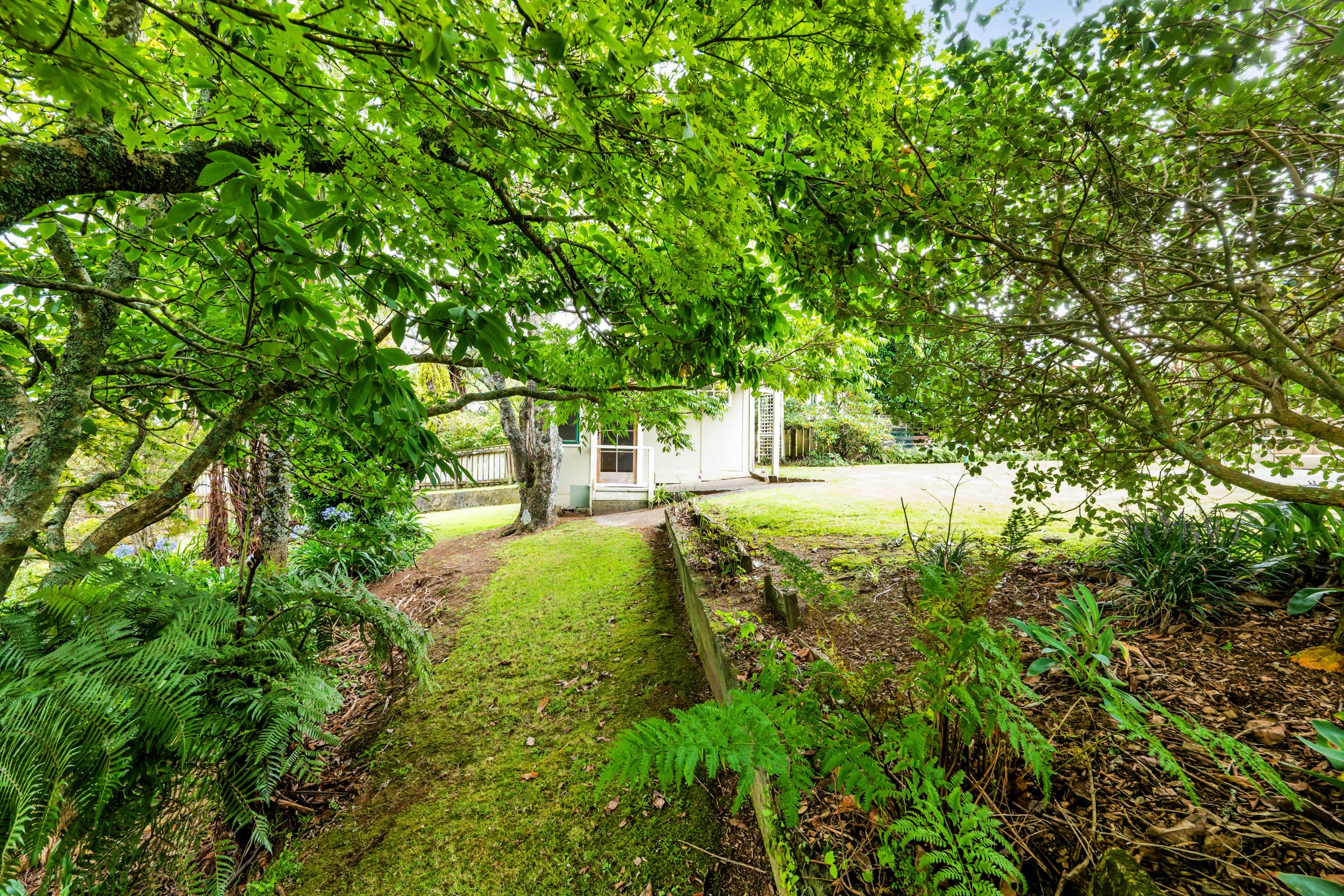 3 Morgan Lane, Ferndale, Taranaki 4310 NZ