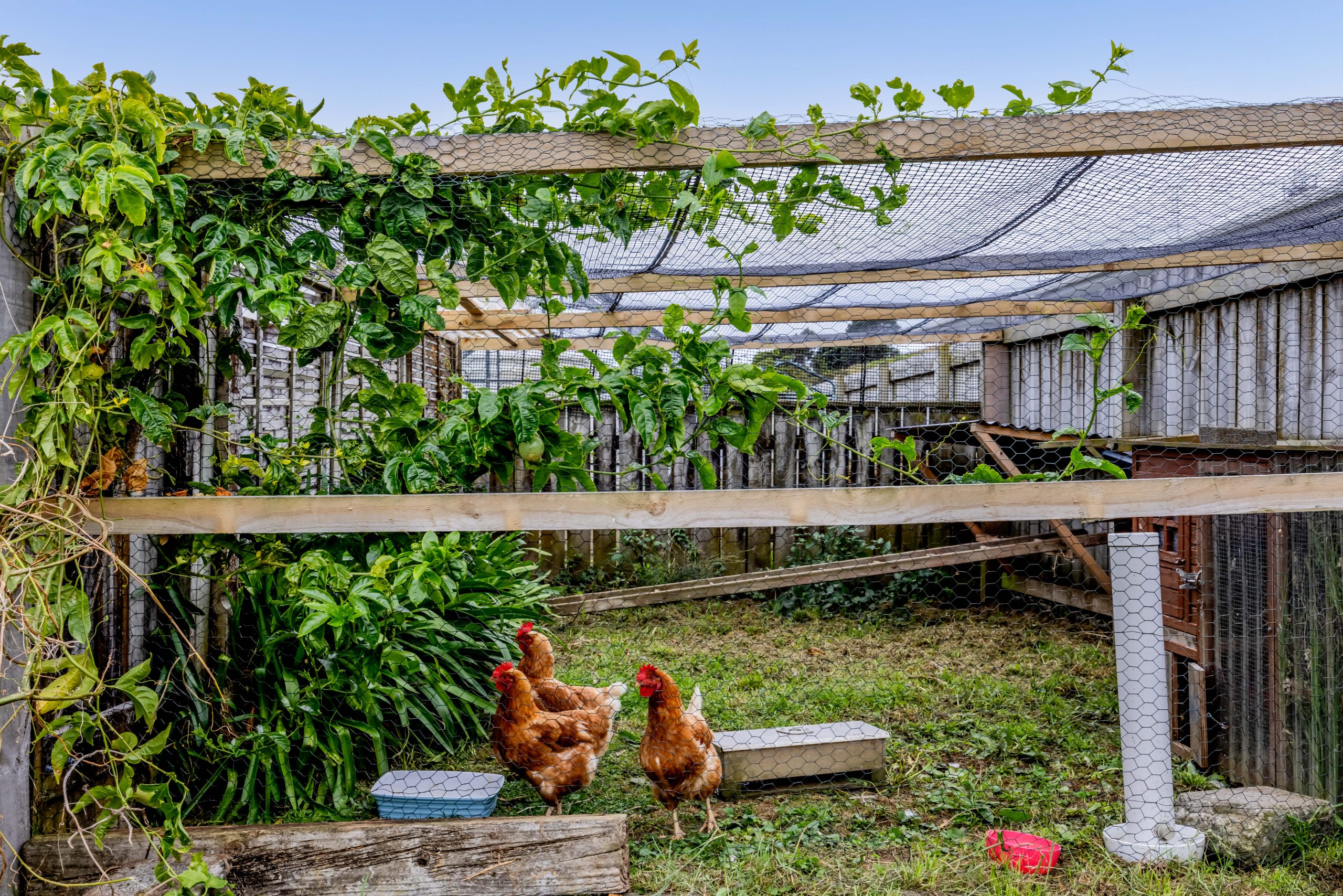33 Belair Avenue, Blagdon, Taranaki 4310 NZ