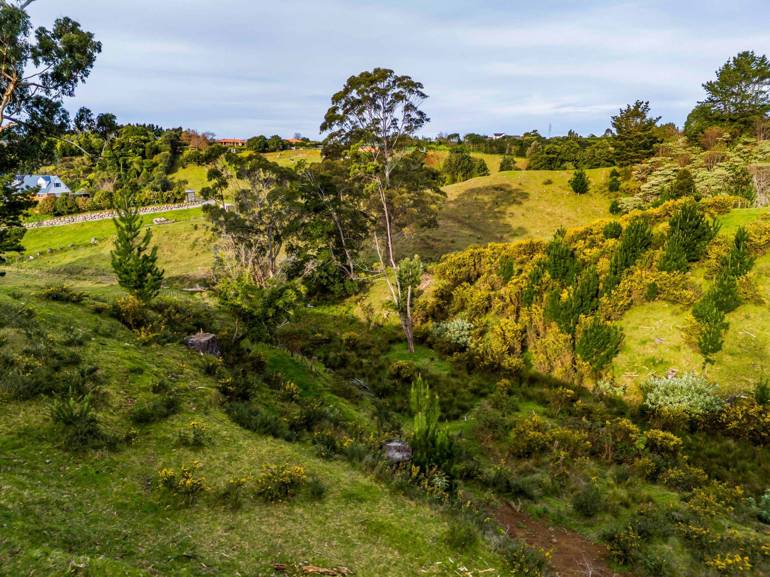 159A Govett Avenue, Frankleigh Park, Taranaki 4310 NZ