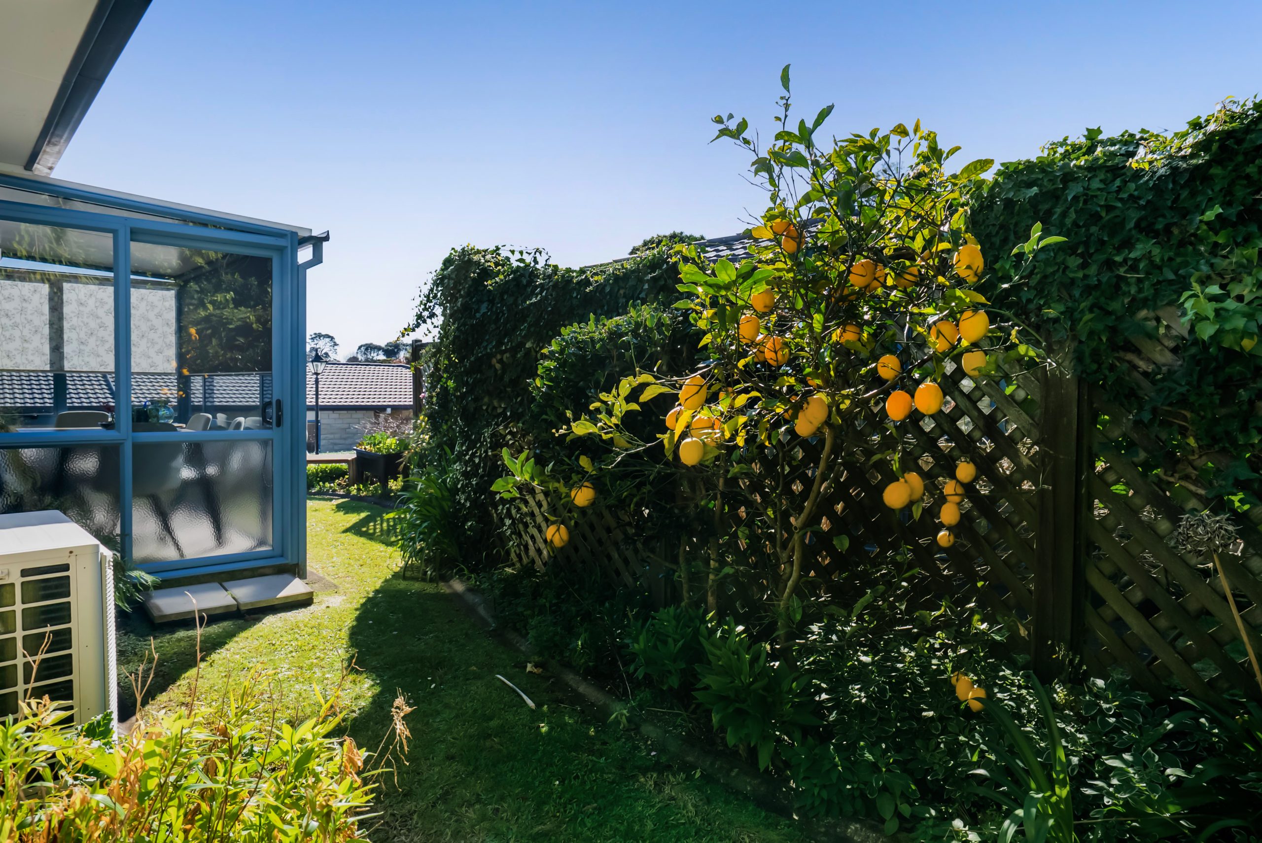 5/32 Mill Road, Lower Vogeltown, Taranaki 4310 NZ