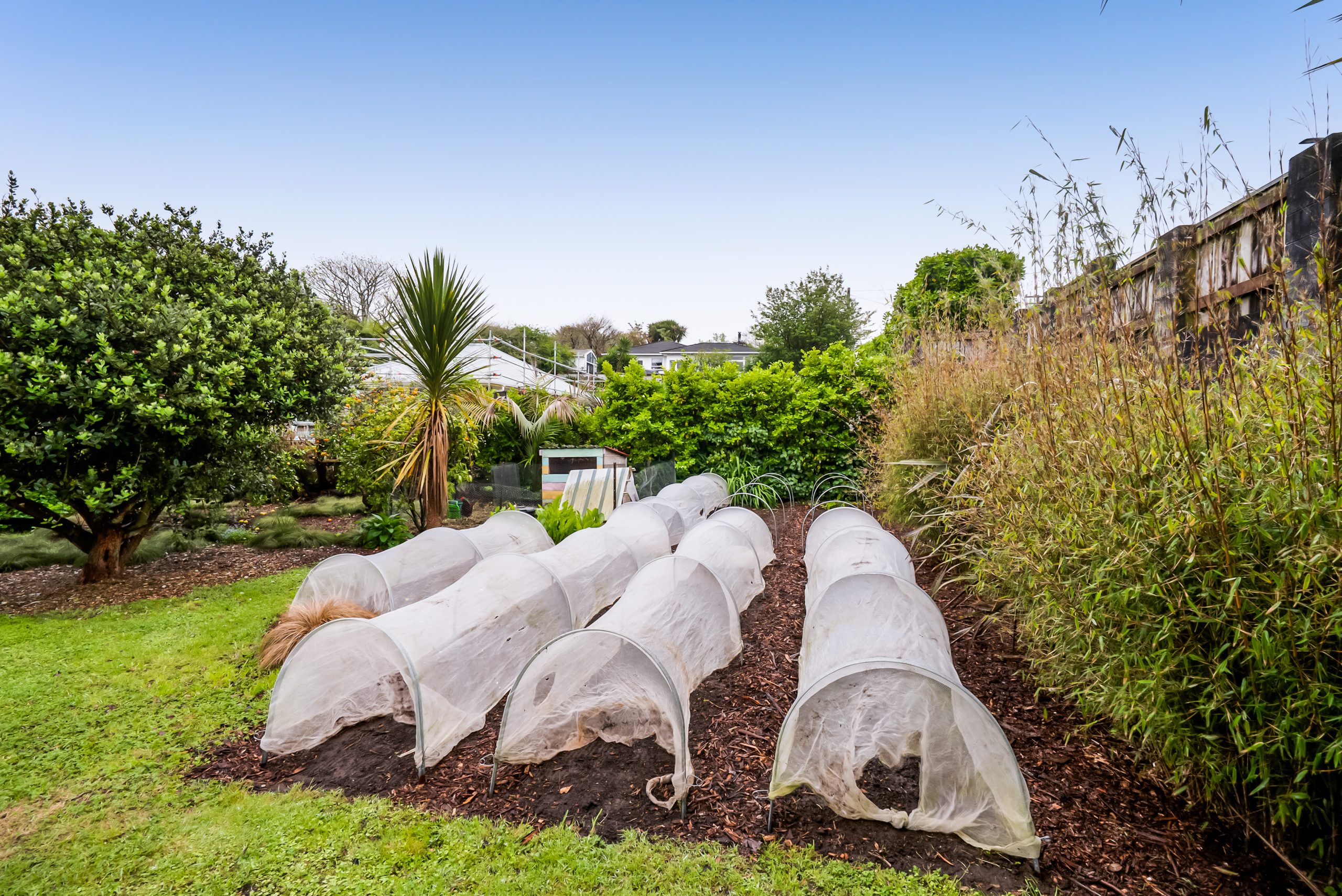 54 Waimea Street, Westown, Taranaki 4310 NZ