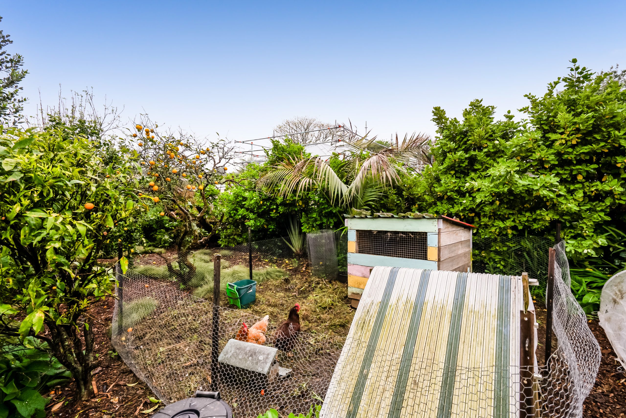 54 Waimea Street, Westown, Taranaki 4310 NZ