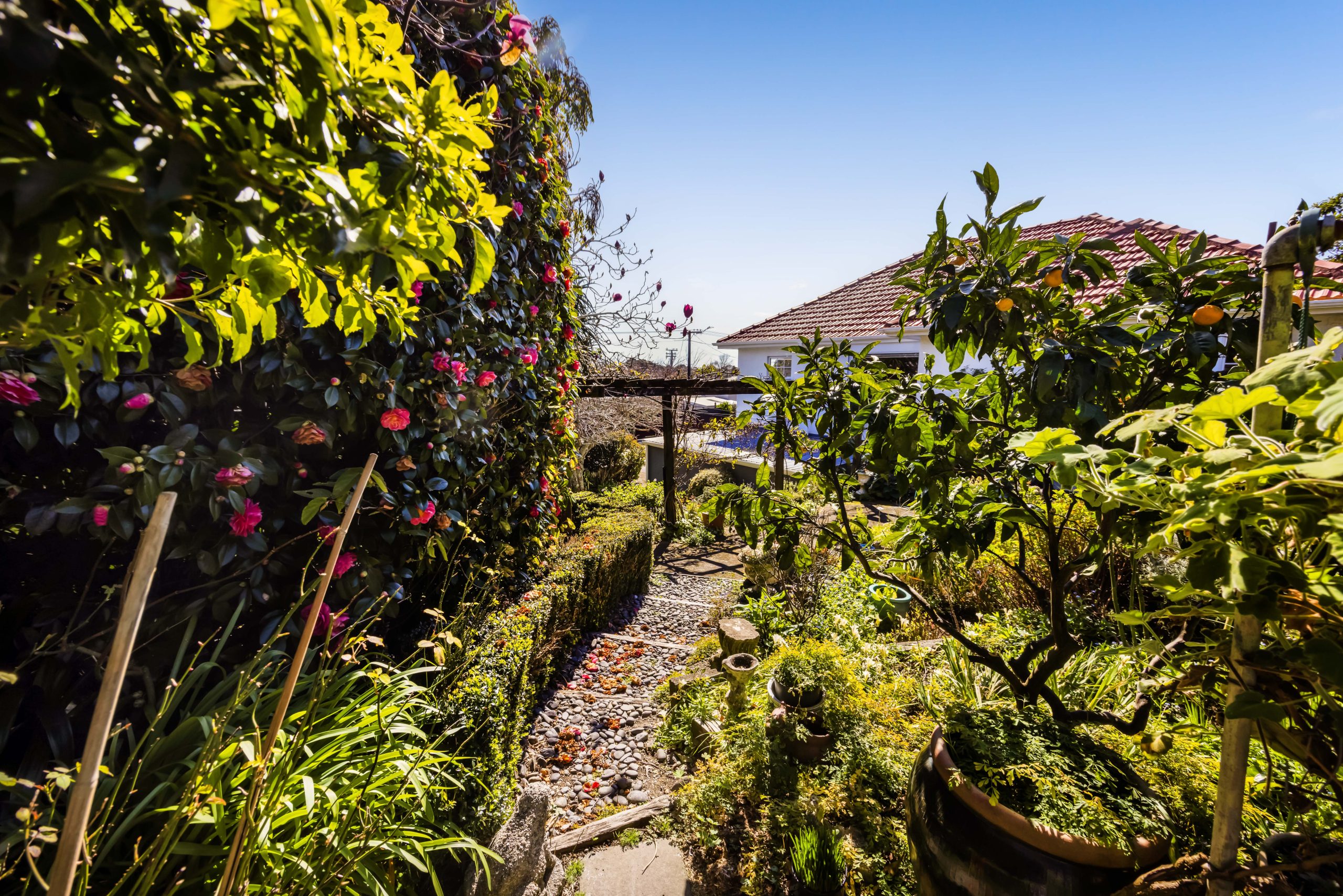 32 Queens Road, Glen Avon, Taranaki 4312 NZ